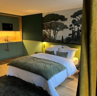 Studios et Appartement meublé de tourisme in Altkirch