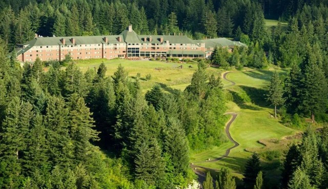 Superior Double Room with Forest Views