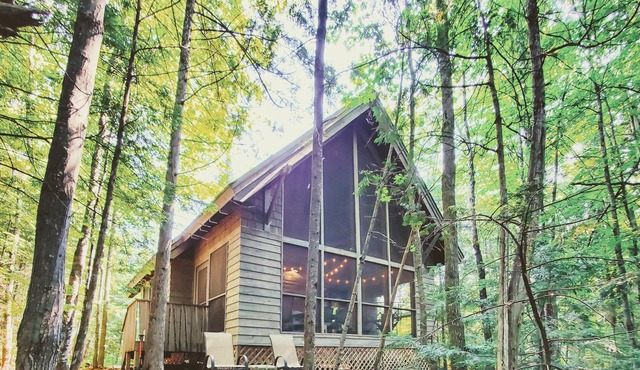 Superior Sanctuary: Refined Rustic in the Woods