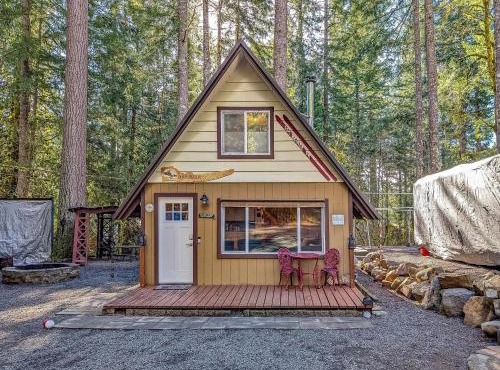 Tee & Ski Cabin | Mt Rainier, White Pass