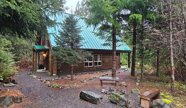 The Adams Chalet perfect for family or friends. Pet-friendly, Hot tub, WIFI, AC