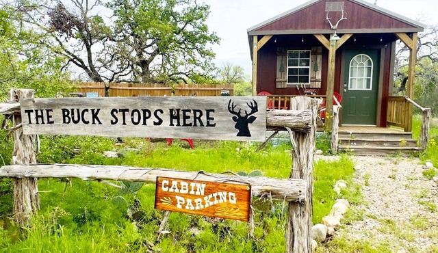 The Buck Stops Here - Castell Cabin - Sleeps 4
