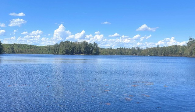 The Wild Goose Cabin