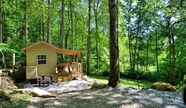 Tiny House for Two with Outdoor Tub near Great Smoky Mountains in Cherokee, North Carolina