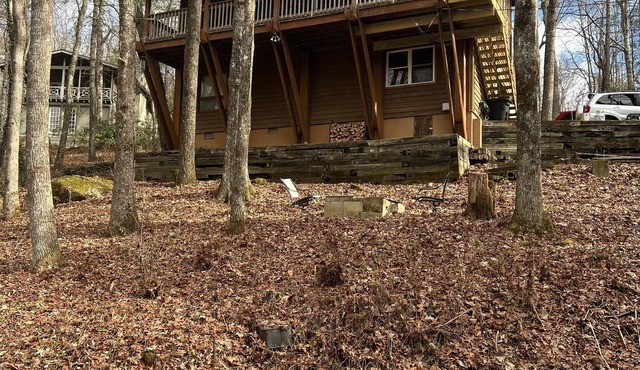 Treetop Cabin - Highlands