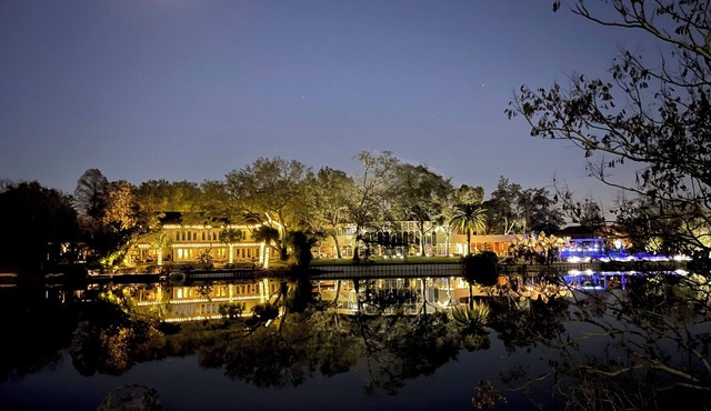 Tropical Citrus Grove Monthly Suite Bayou St. John/City Park near French Quarter