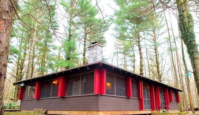 Unique Cabin Vacation Rental for Large Groups on the coast of Lake Michigan near Saugatuck, Michigan