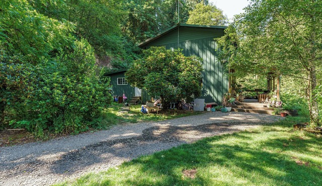 Unique Riverfront Cabin 1 hour north of PDX