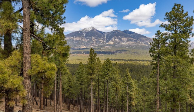 UNMATCHED MOUNTAIN PEAK VIEWS!