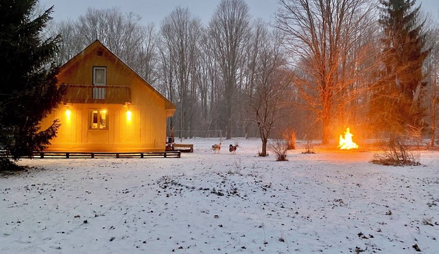 Walking distance to Betsie River & 10 minutes to Lake Michigan & Crystal Mnt!