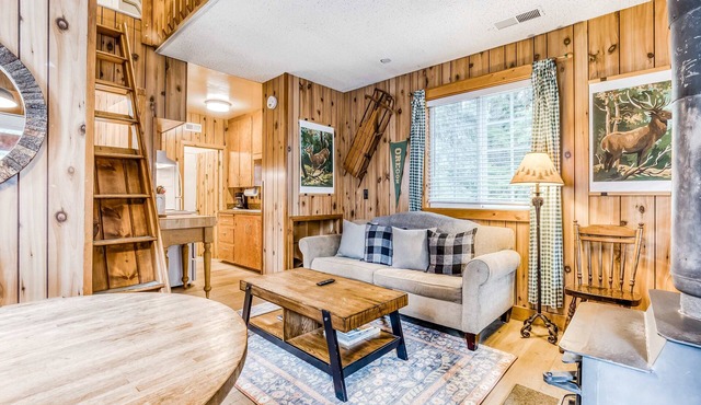 Warm & cozy cottage with a wood stove in a great Government Camp location