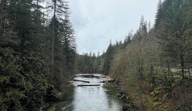 Washougal River Front Apt. Pets OK Close to Columbia Gorge, close to PDX