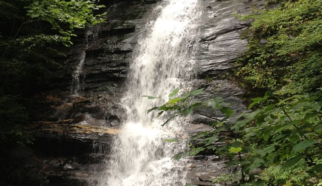 Waterfall Overlook at Bearfoot Falls~Privately owned waterfall,hiking trail 10ac
