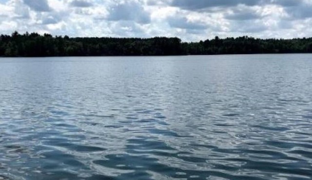 Welcome to Kelsey's Cabin on the Chippewa Flowage