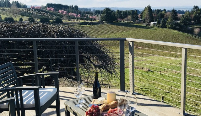 Wine country with views