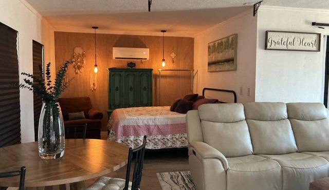 Wonderful studio with a couch like butter and jetted bathtub! in Fort Worth