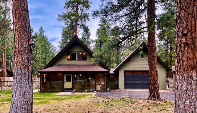 Wooden A-Frame Cabin Nestled in the Tall Pines
