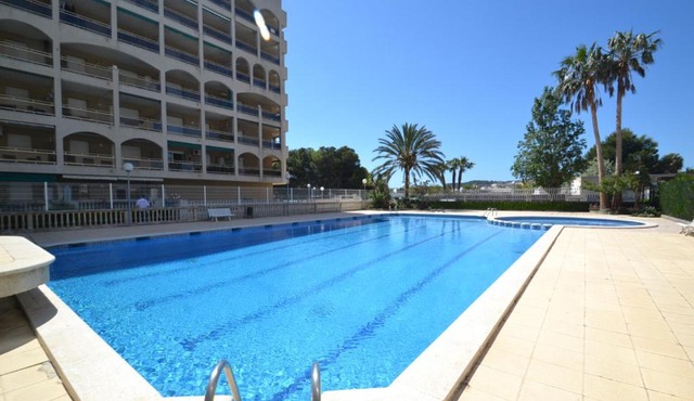 WVP - Turquesa in La Pineda