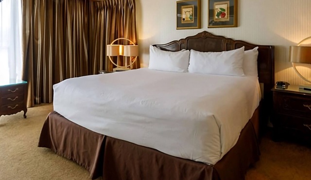 Your Oasis in Elko, Nevada! 2 Comfortable Units, Swimming Pool, Pets Allowed! in Elko