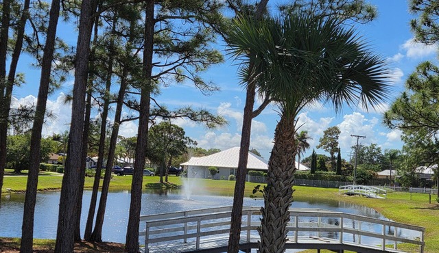 Your Stuart Oasis
