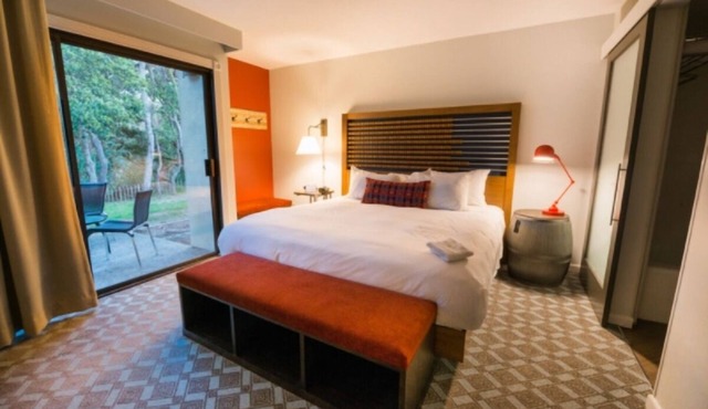 Your Ultimate Nature Retreat Starts Here | Forest View Room w/Patio | Scenic
