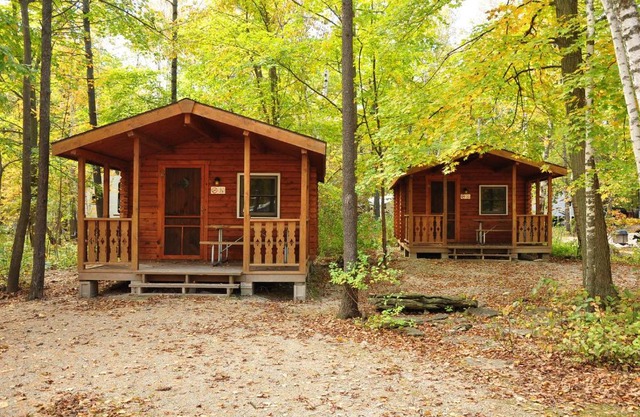 Tranquil Timbers 