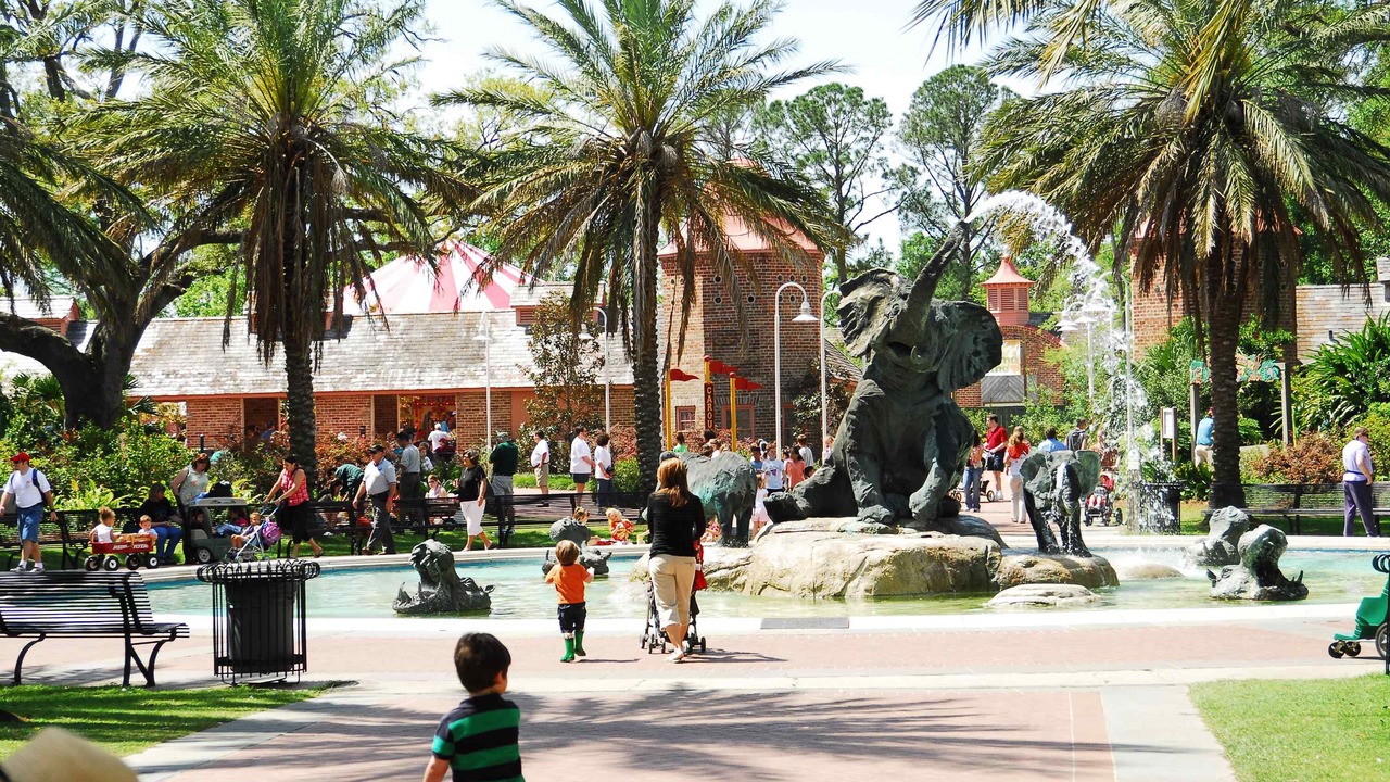 Photo of Others in Metairie