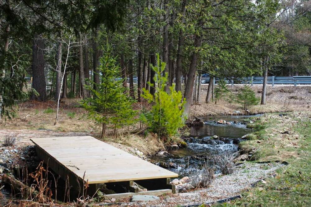 Photo of Outdoor in Mesick