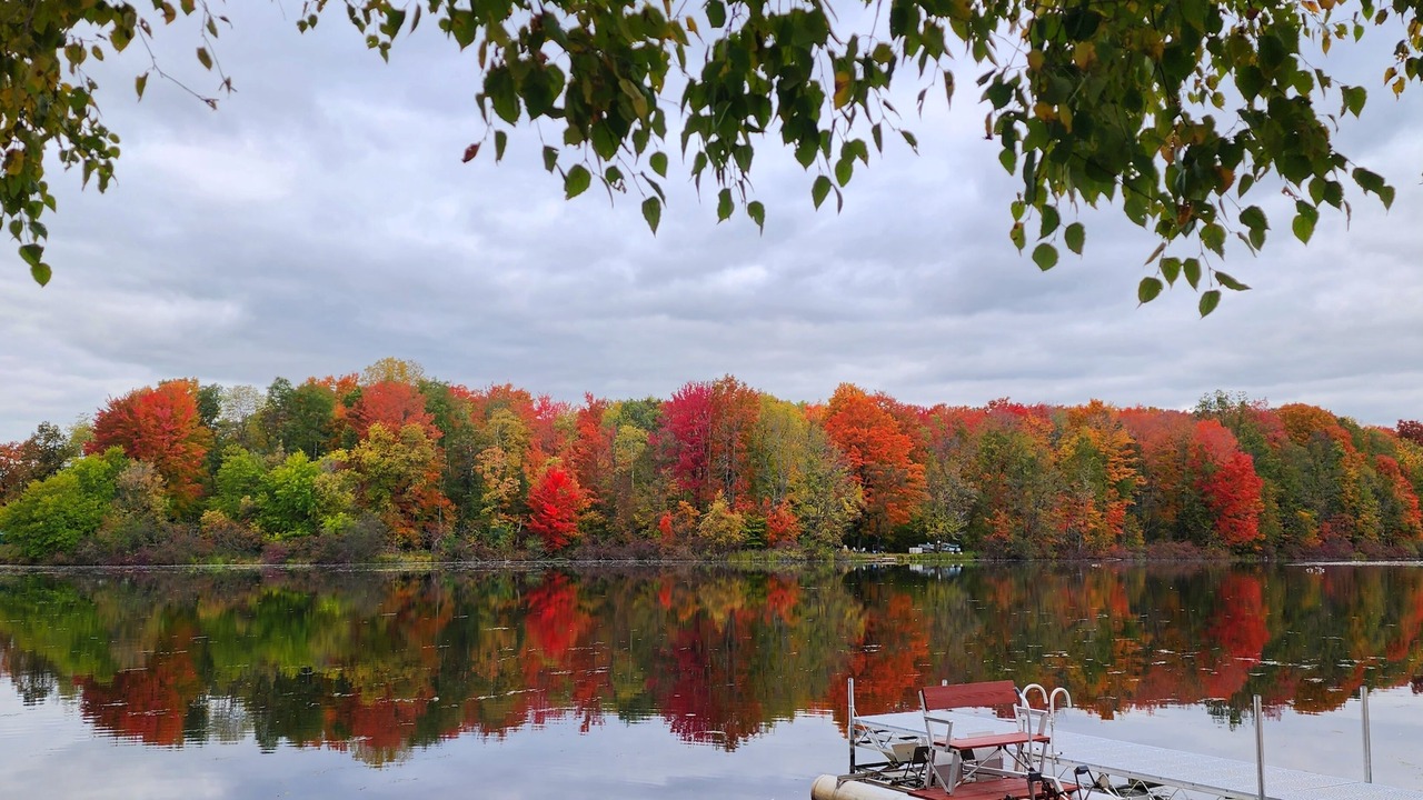 Photo of Outdoor in Weidman