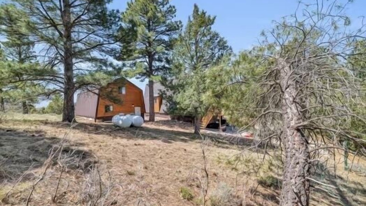 Photo of Outdoor in Long Valley Junction