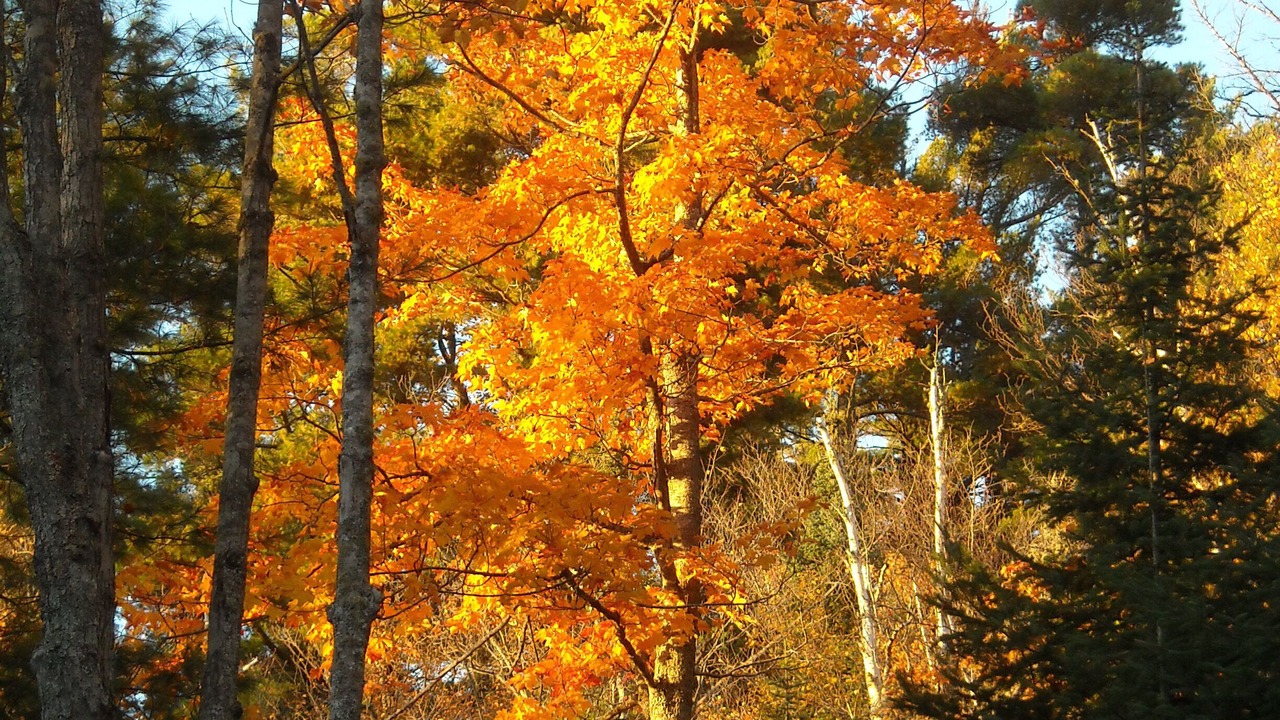 Photo of Outdoor in Eagle River