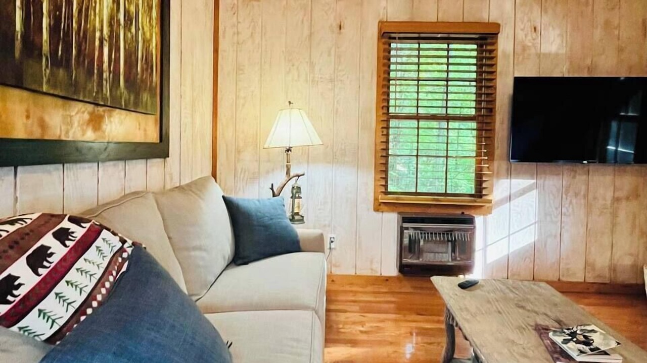 Photo of Livingroom in Helen