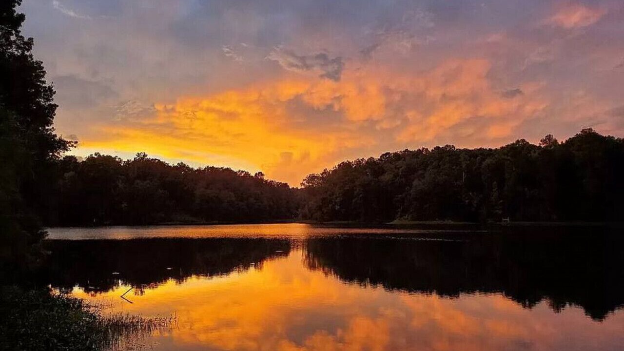Photo of Others in Natchez