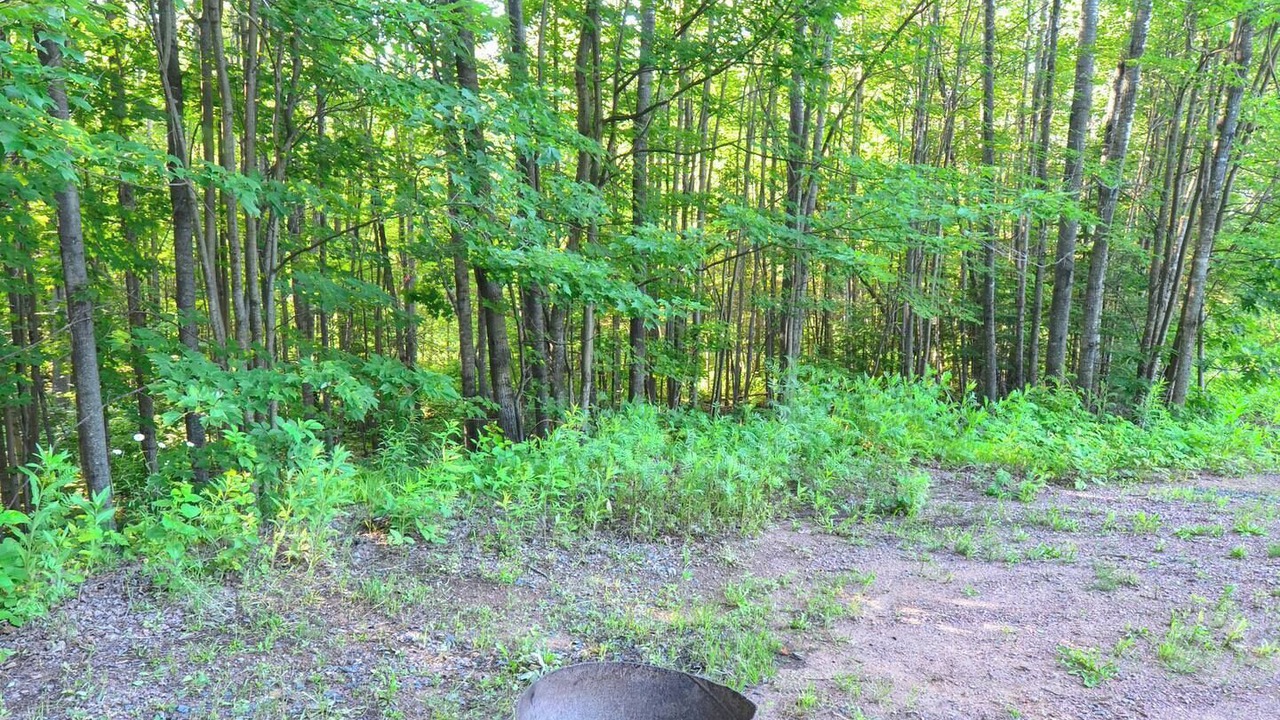 Photo of Outdoor in Washburn
