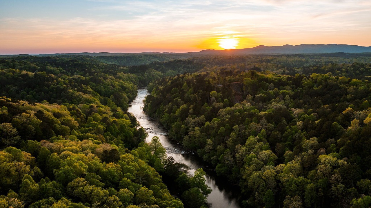 Photo of Others in Ellijay