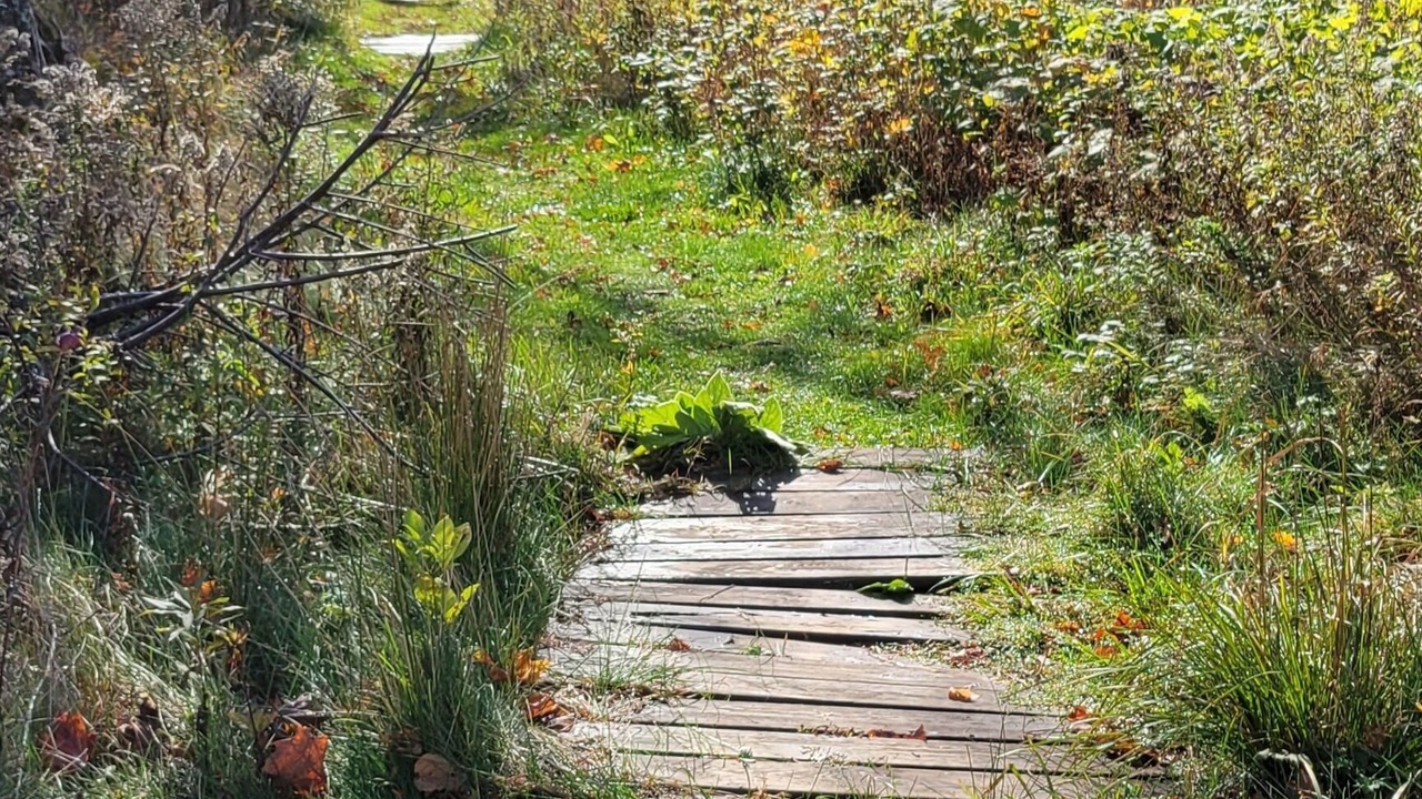 Photo of Outdoor in Silver City
