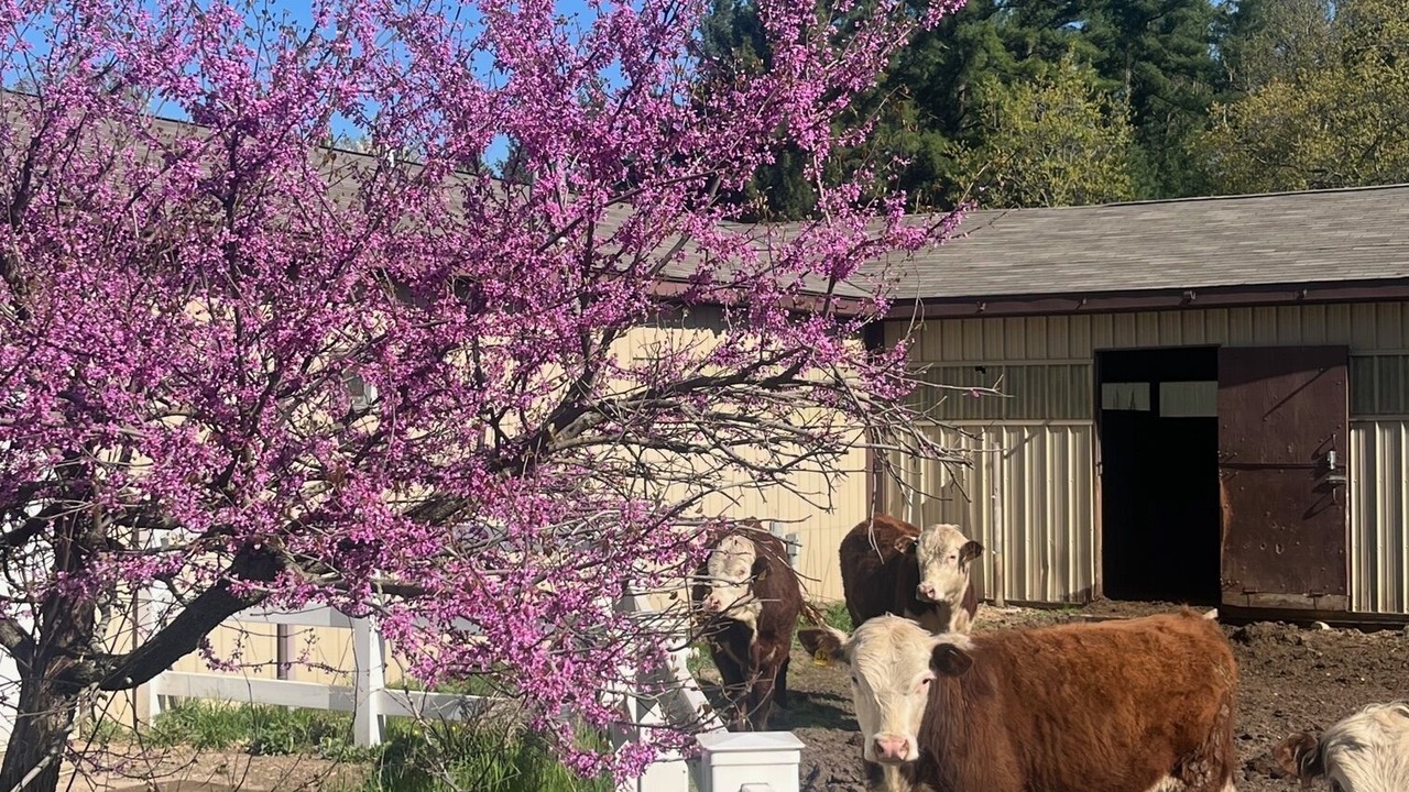 Photo of Outdoor in Mayfield