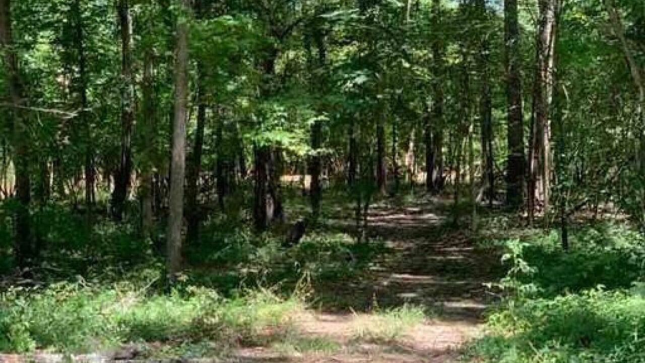 Photo of Others in Natchitoches