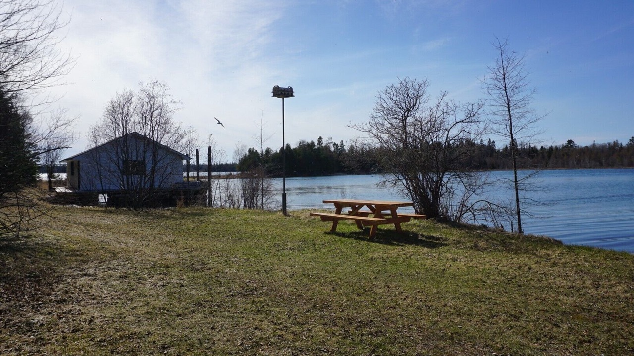 Photo of Outdoor in Cedarville
