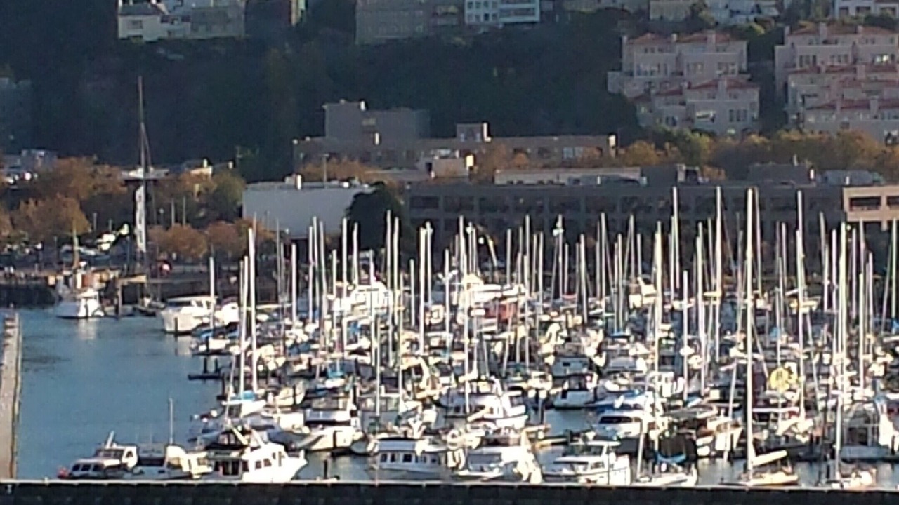 Photo of Others in West Portal
