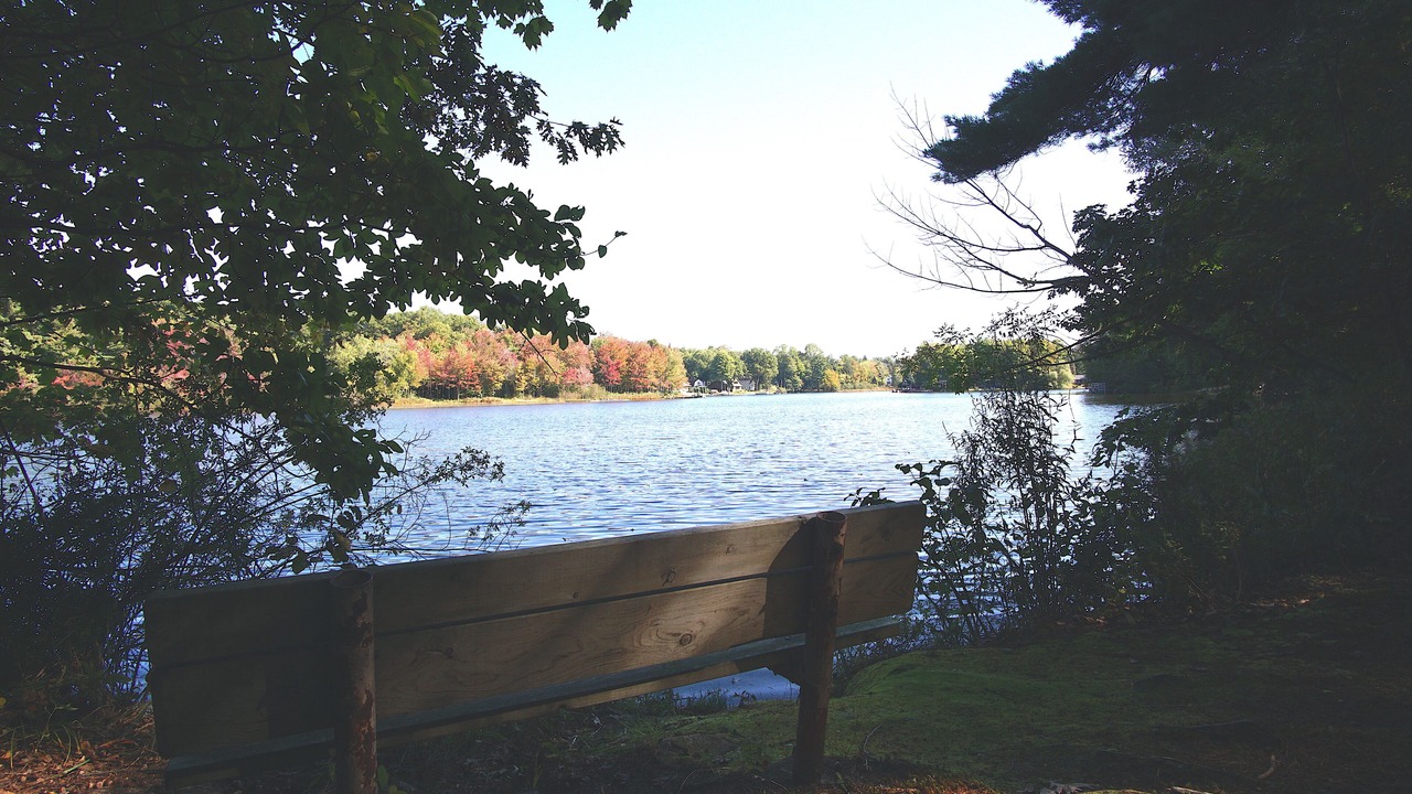 Photo of Outdoor in Saugatuck