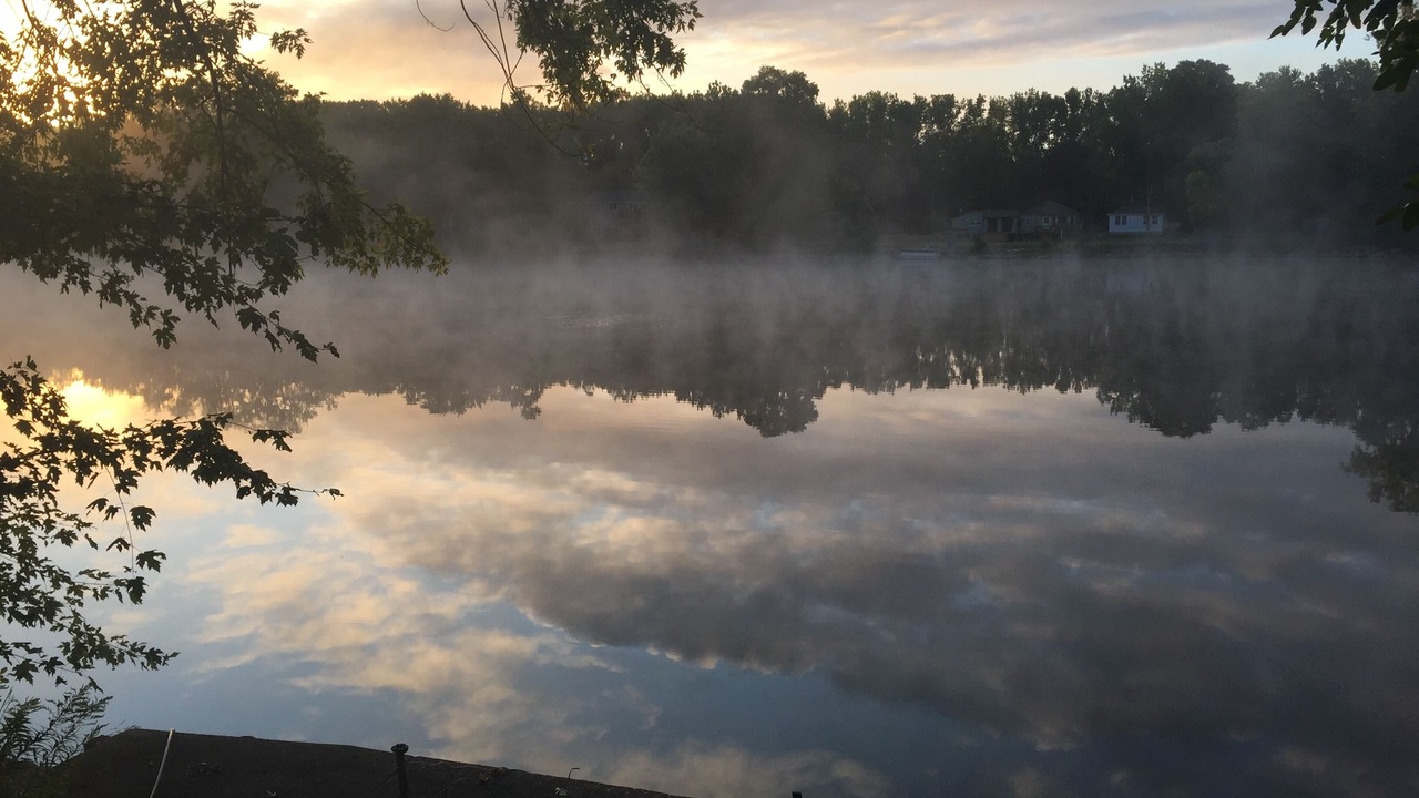 Photo of Others in Comstock Park
