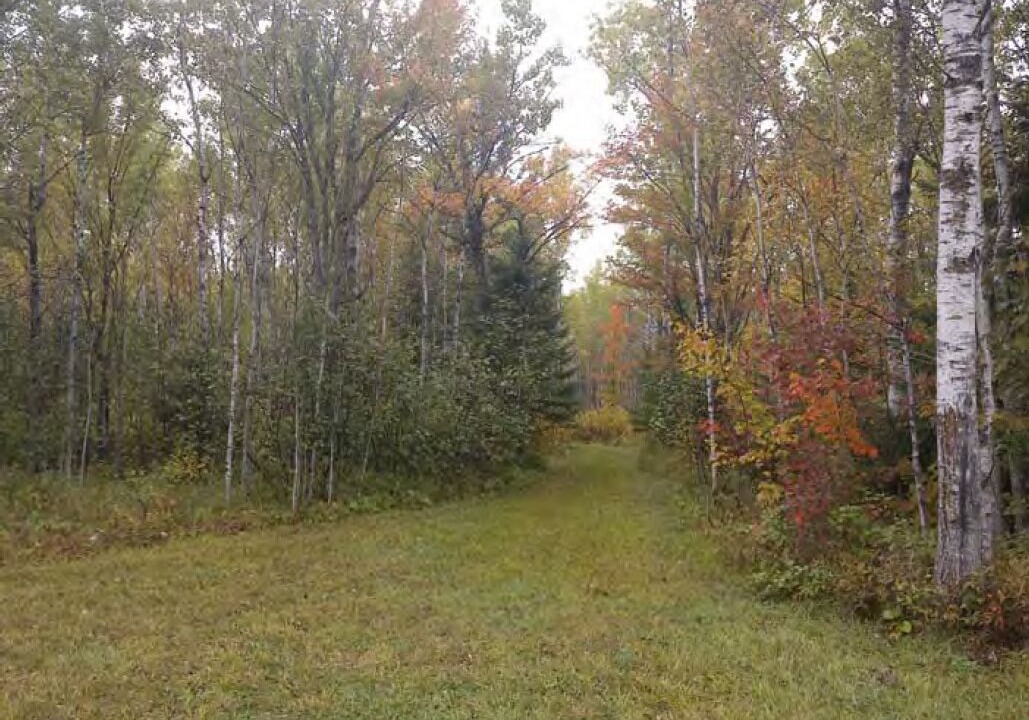 Photo of Outdoor in Two Harbors