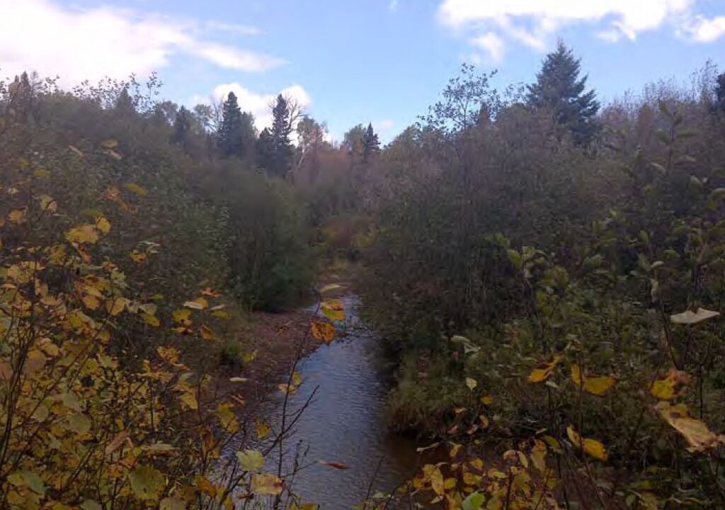Photo of Outdoor in Two Harbors