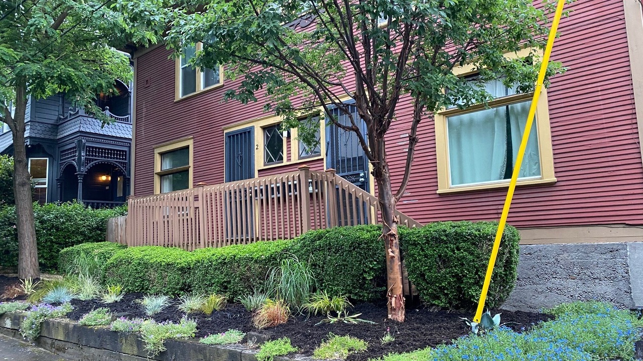 Photo of Outdoor in Belmont