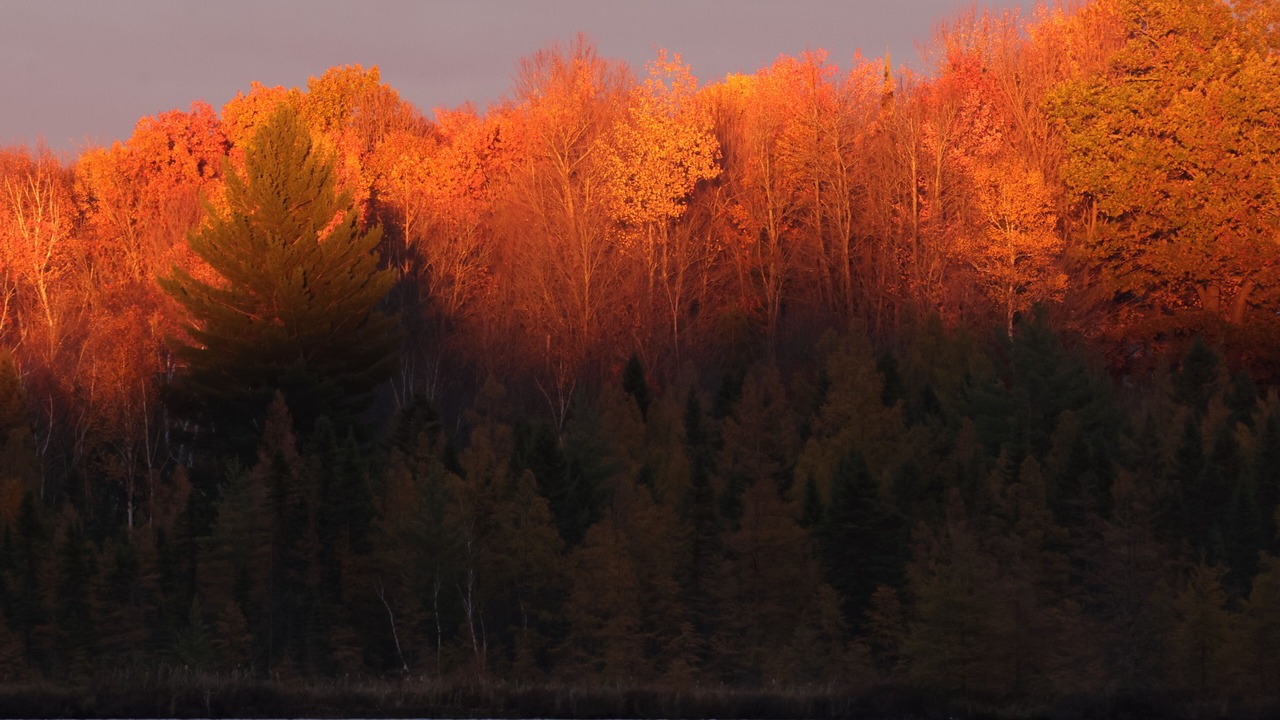 Photo of Others in Eagle River