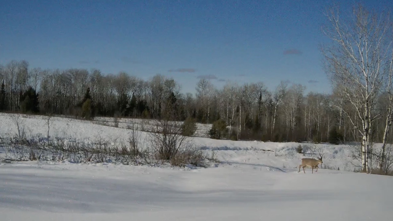 Photo of Others in Bruce Crossing