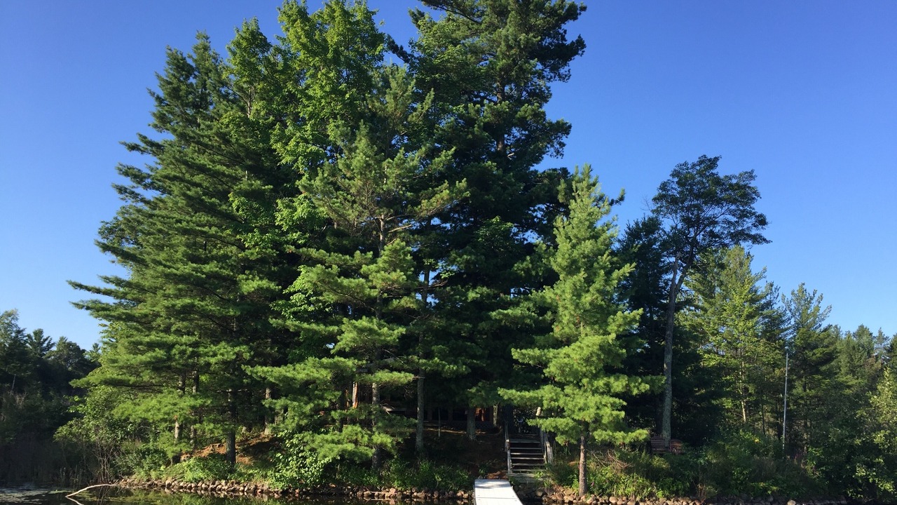 Photo of Outdoor in Spooner