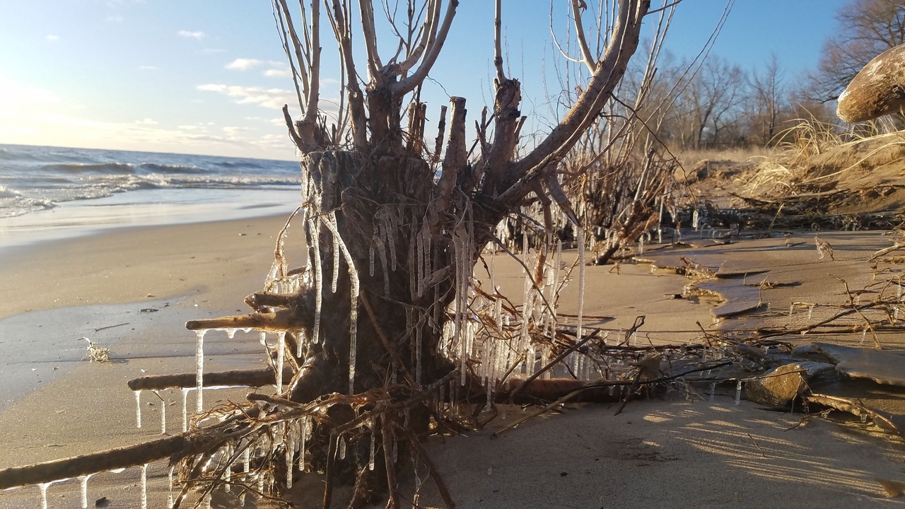 Photo of Others in Port Sanilac
