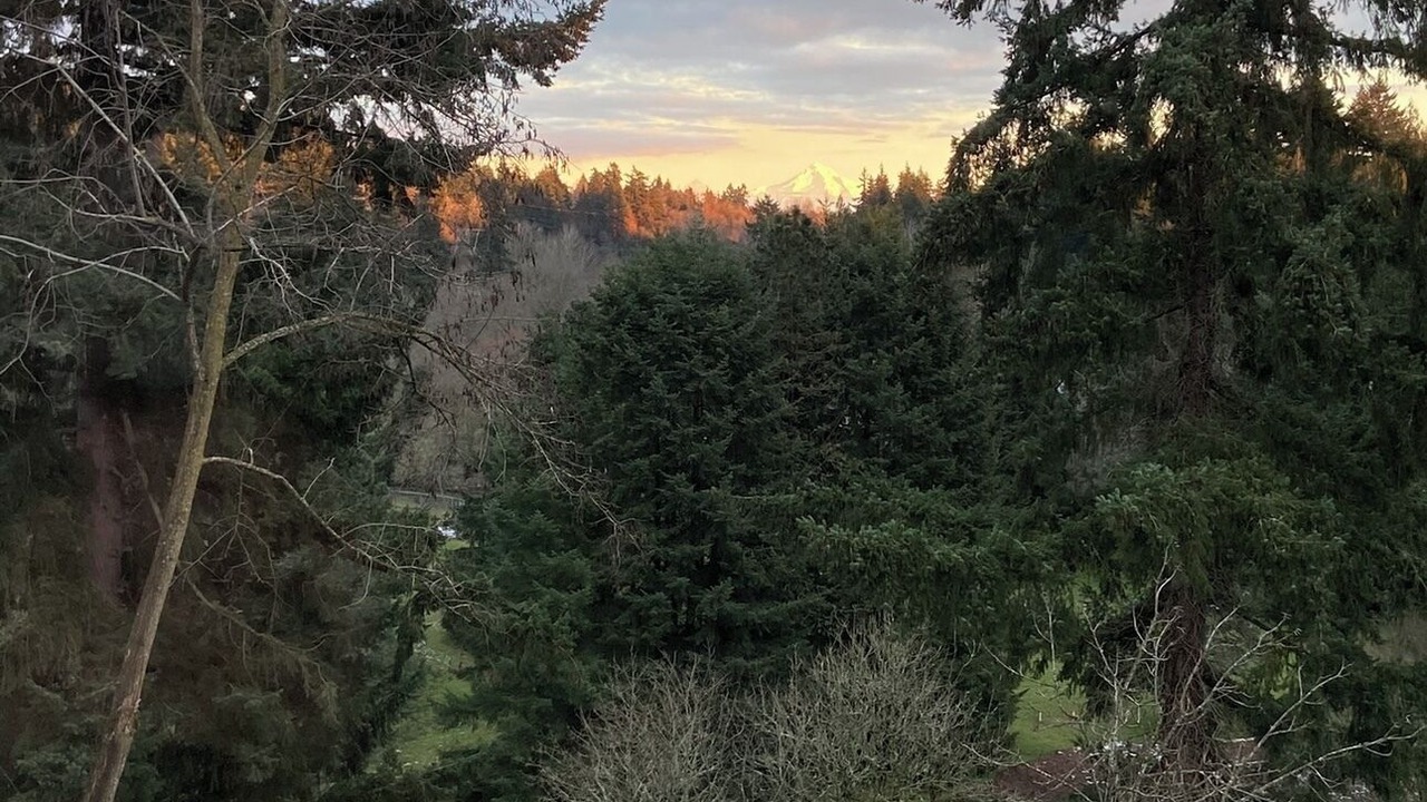 Photo of Outdoor in Vancouver